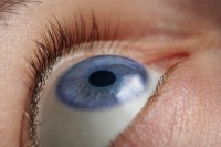 Oční klinika NeoVize, zdravé oko